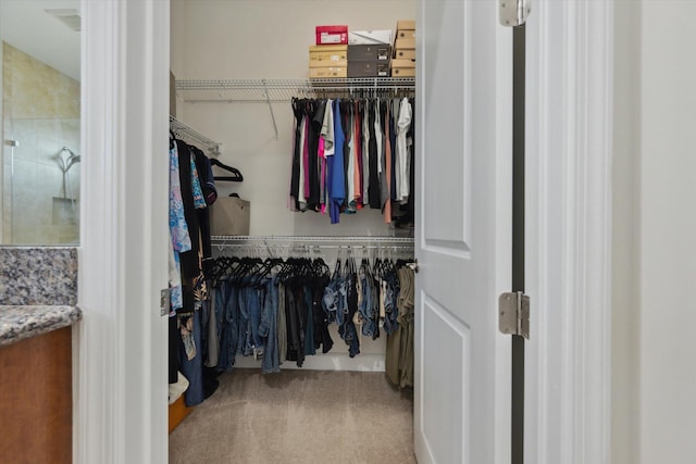 spacious closet featuring carpet flooring