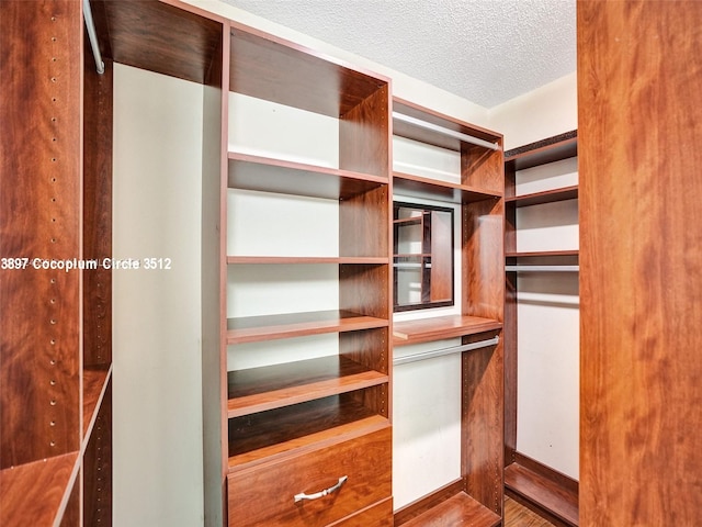 spacious closet featuring hardwood / wood-style floors