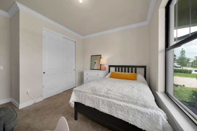 bedroom with carpet flooring, a closet, and crown molding