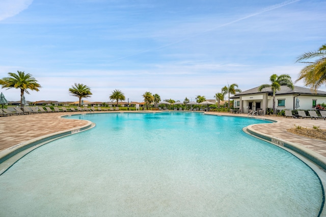 view of swimming pool featuring a patio area