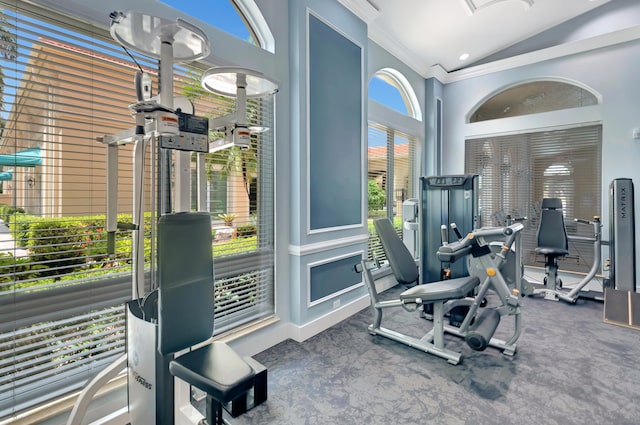 exercise room featuring vaulted ceiling and ornamental molding