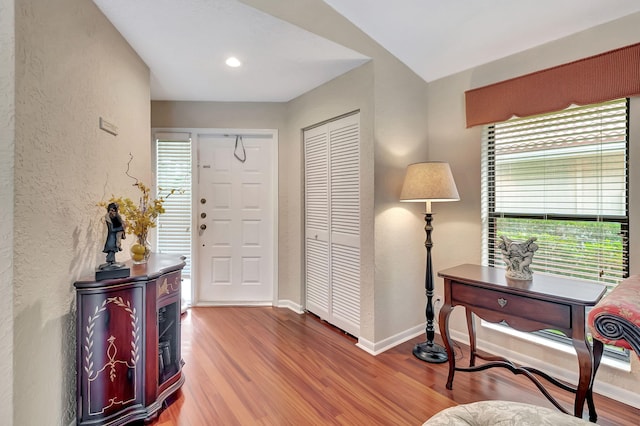 entryway featuring wood-type flooring