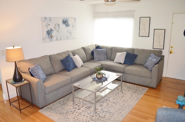 living room with ceiling fan and light hardwood / wood-style flooring