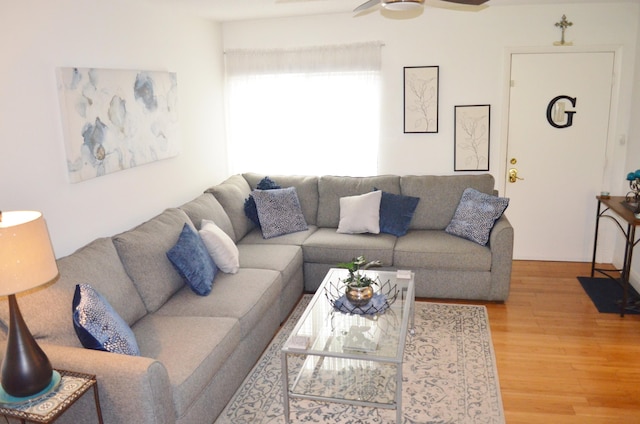 living room featuring hardwood / wood-style floors and ceiling fan