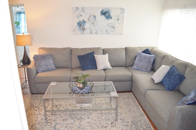 living room with wood-type flooring