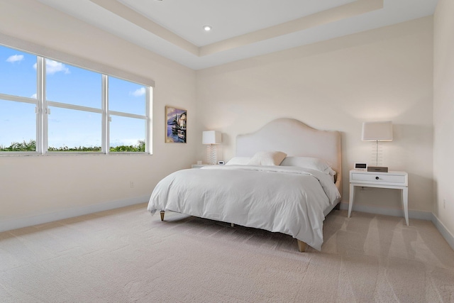 bedroom with carpet and a tray ceiling