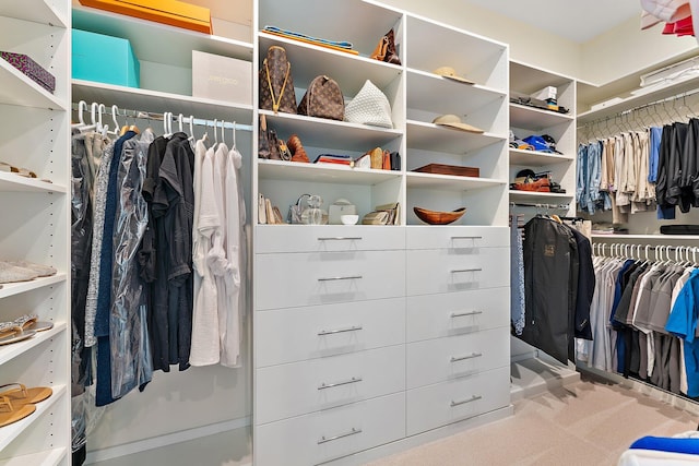 spacious closet with light colored carpet