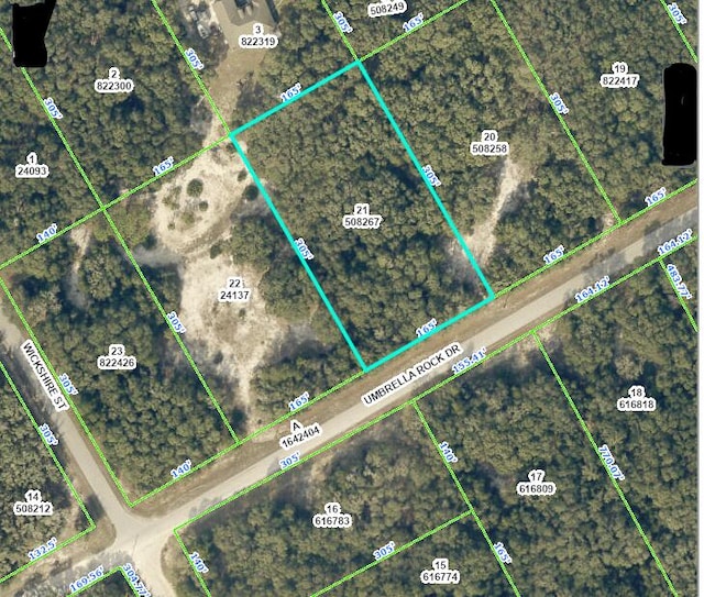 0 Umbrella Rock Dr, Webster FL, 33597 land for sale