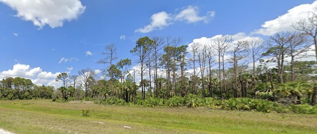 536 Holly Ter, Labelle FL, 33935 land for sale