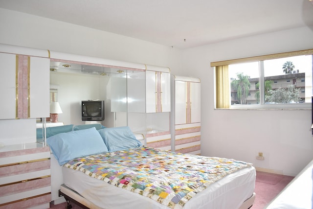 bedroom with carpet floors