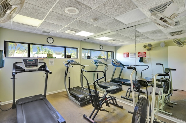 workout area featuring a paneled ceiling and carpet floors