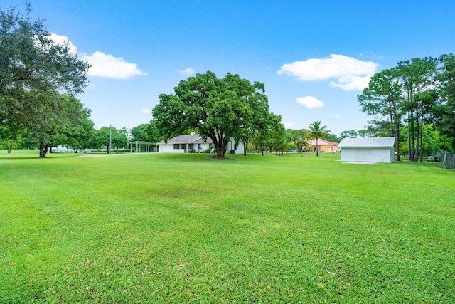 view of yard