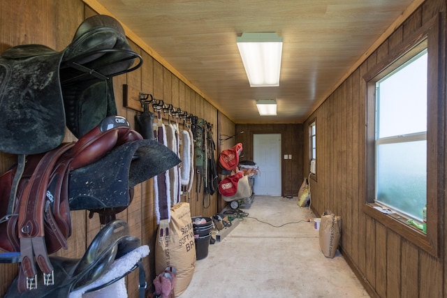 view of horse barn