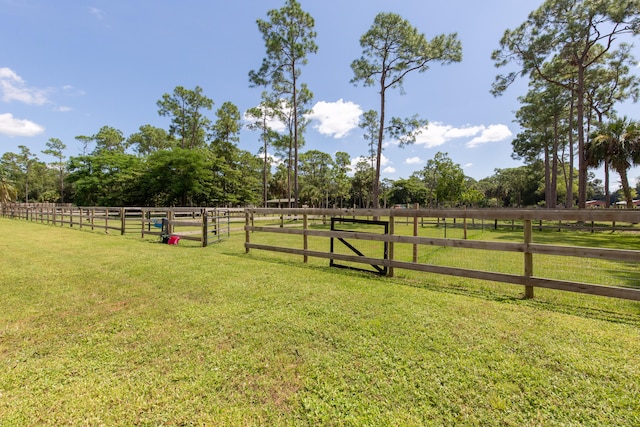 view of yard featuring a rural view