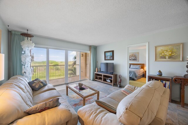 living room with a textured ceiling