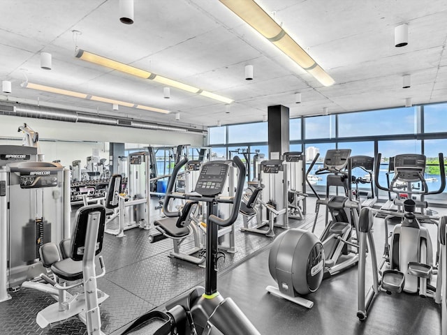 workout area featuring floor to ceiling windows