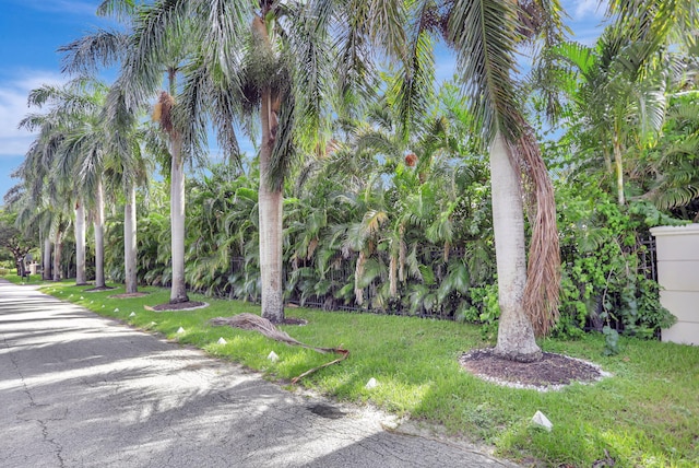 exterior space featuring a lawn