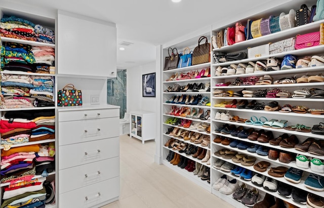 view of walk in closet