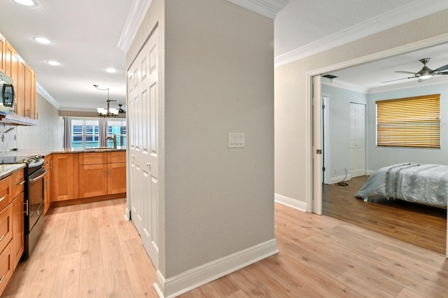 kitchen featuring crown molding, black / electric stove, and light wood-type flooring