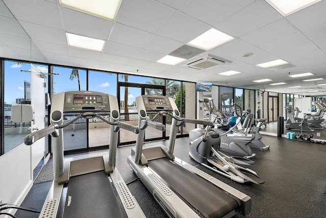 workout area featuring a paneled ceiling and floor to ceiling windows