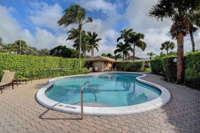 view of swimming pool featuring a patio area