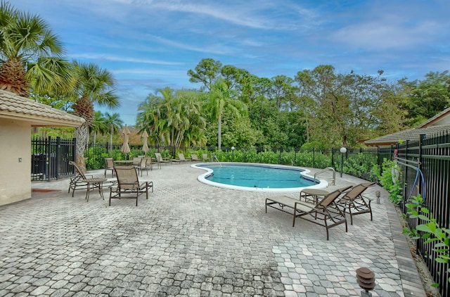 view of pool featuring a patio area