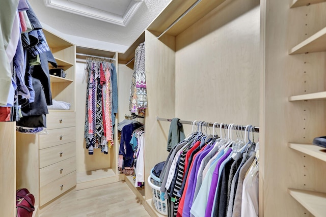 spacious closet with light hardwood / wood-style floors