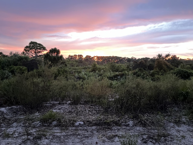 view of local wilderness