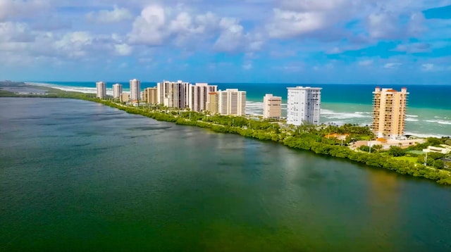 aerial view with a water view