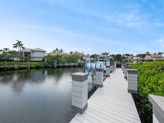 dock area with a water view