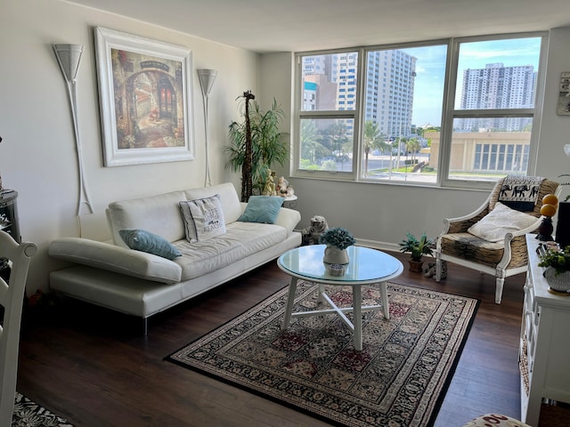 living room featuring dark hardwood / wood-style floors