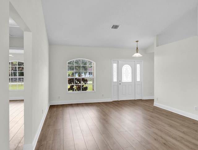 foyer featuring a wealth of natural light and hardwood / wood-style floors