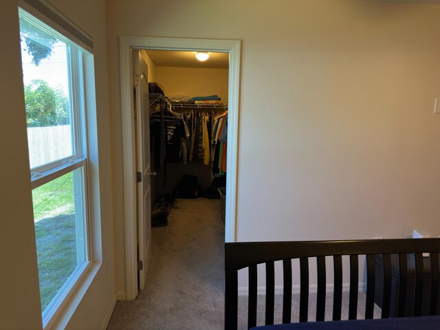 bedroom with carpet floors, a closet, and multiple windows