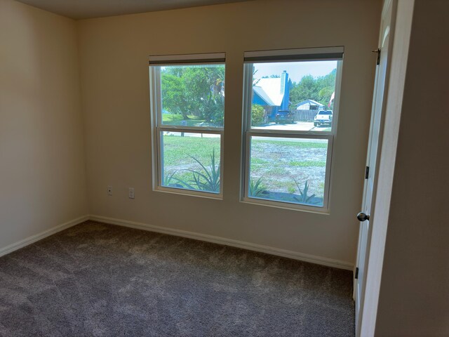 spare room with carpet flooring and a healthy amount of sunlight