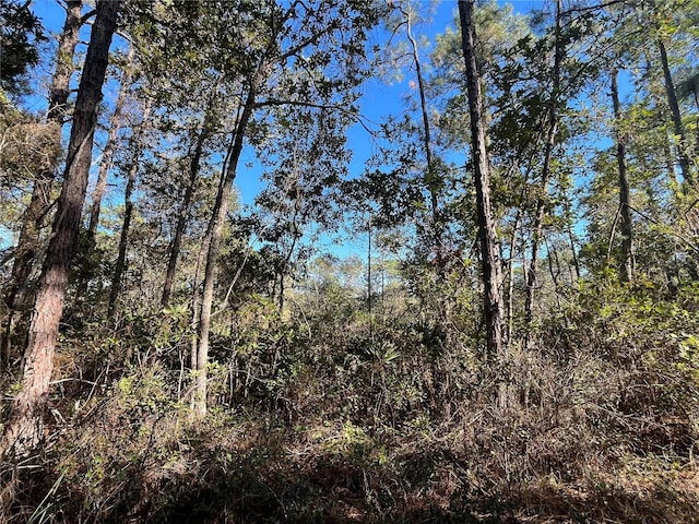 226 Incline Rd, Satsuma FL, 32189 land for sale