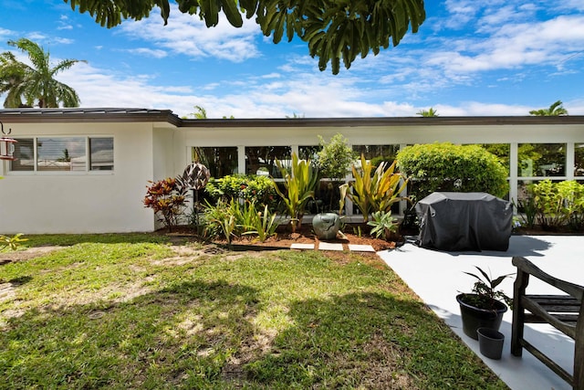 view of yard featuring a patio