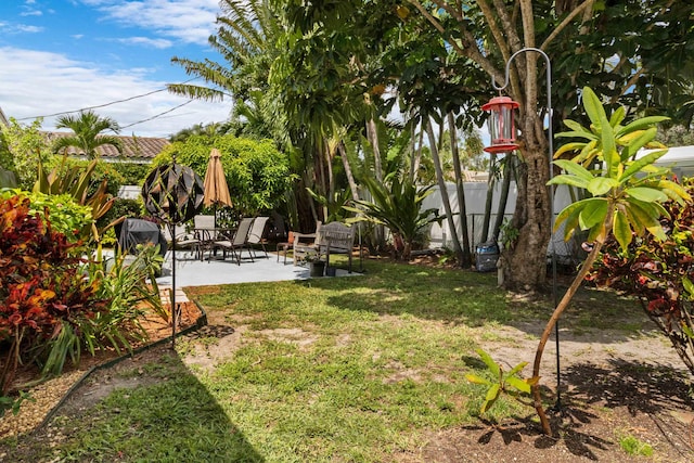 view of yard with a patio