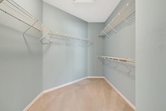 walk in closet featuring carpet flooring