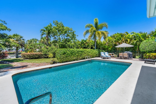 view of pool with a patio