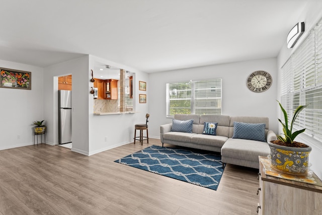 living room featuring hardwood / wood-style floors