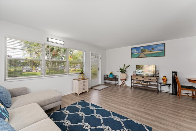 living room with a wealth of natural light and hardwood / wood-style floors