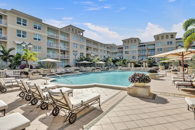 view of swimming pool featuring a patio area