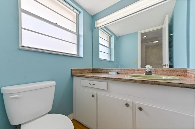 bathroom featuring hardwood / wood-style flooring, vanity, and toilet