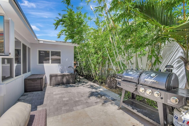 view of yard with a patio area