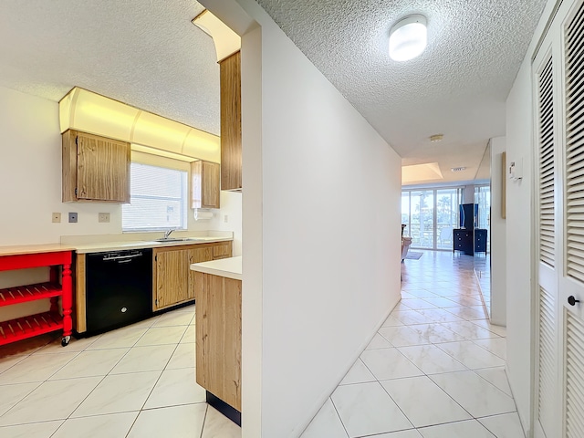 kitchen with sink, plenty of natural light, a textured ceiling, and dishwasher