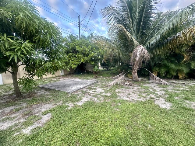 view of yard featuring a patio