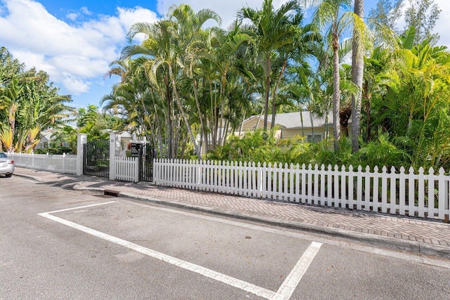 view of gate featuring a fenced front yard