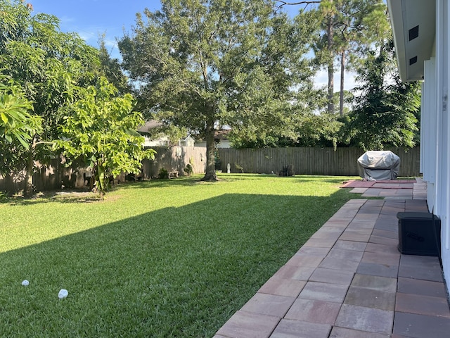 view of yard with a patio area