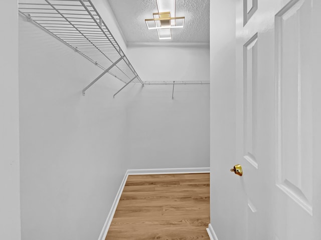 spacious closet featuring wood-type flooring