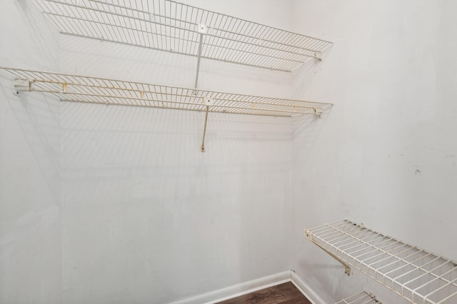 spacious closet with wood-type flooring